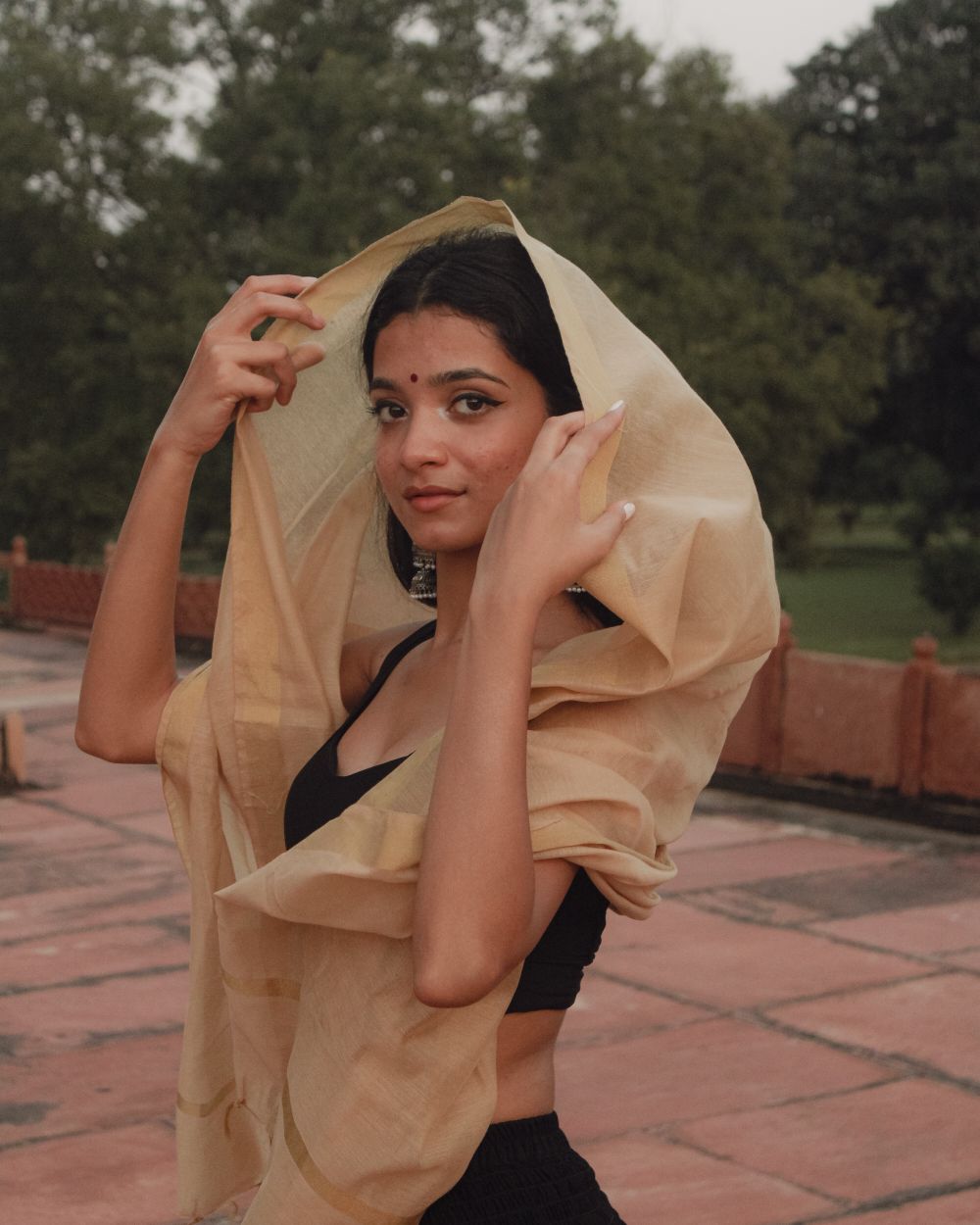 Sheer Tissue Dupatta in Gold beige